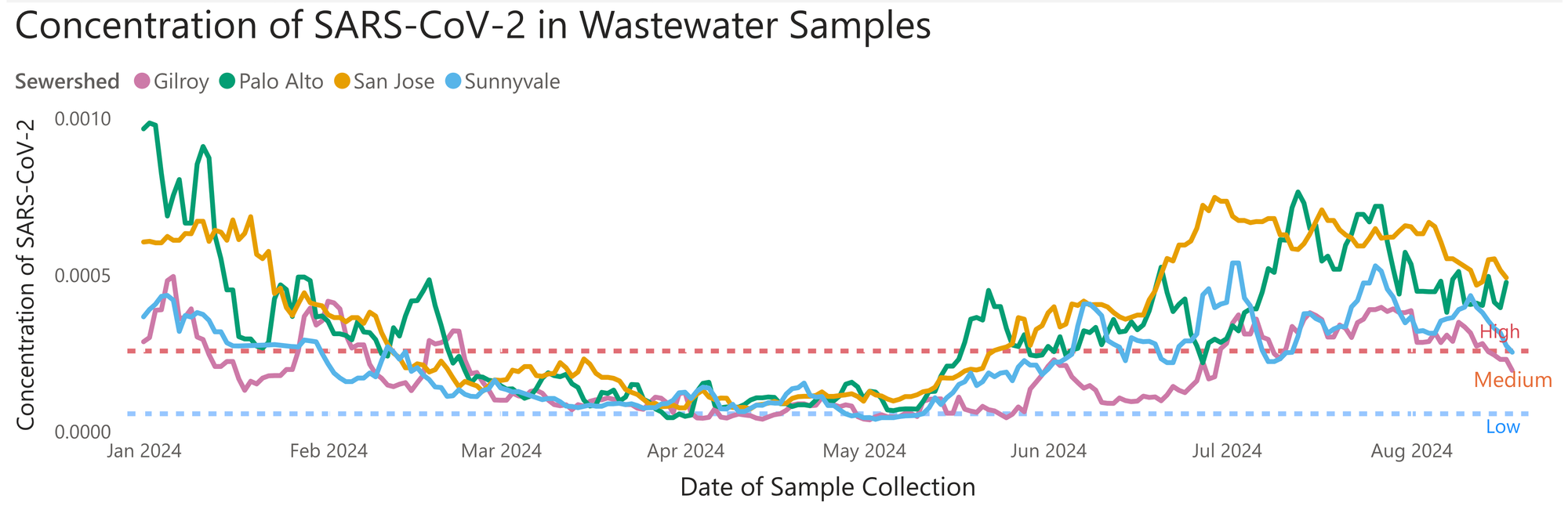 A line graph titled 'Concentration of SARS-CoV-2 in Wastewater Samples' showing the levels of SARS-CoV-2 detected in wastewater across four different sewersheds: Gilroy (pink line), Palo Alto (green line), San Jose (yellow line), and Sunnyvale (blue line) from January 2024 to August 2024. The y-axis represents the concentration of SARS-CoV-2, ranging from 0.0000 to 0.0010, and the x-axis shows the date of sample collection. The graph also includes dashed horizontal lines indicating 'High,' 'Medium,' and 'Low' thresholds, with 'High' in red, 'Medium' in orange, and 'Low' in blue. The graph shows fluctuations in SARS-CoV-2 concentration levels over time, with various peaks and troughs across the different regions.