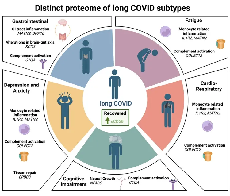 An infographic showing there are distinct subtypes of Long COVID